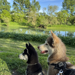 Fiona profile