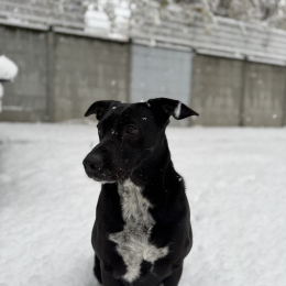 Luna profile