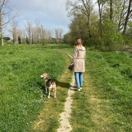 Lucile profile