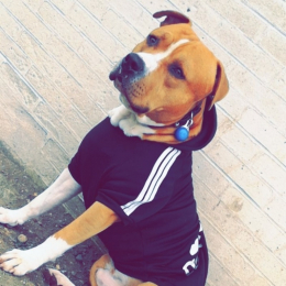Tyson profile