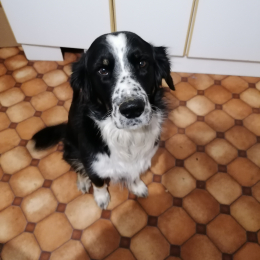 Cooper profile