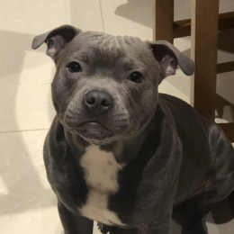 Rolly profile