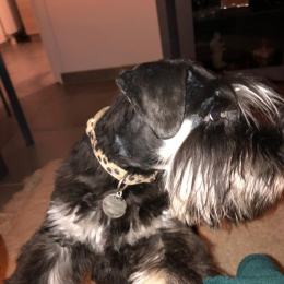 Gabin profile