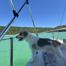 Ulko profile