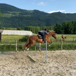 Oriane profile