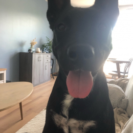 Charlie profile