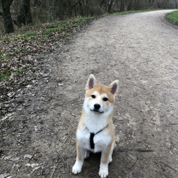 Micky profile