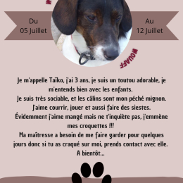 Taïko profile