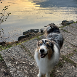 Axel profile