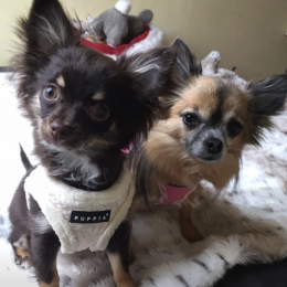Léna et evane  profile