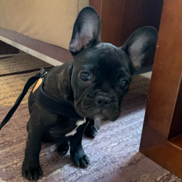 Review of Lorraine's profile