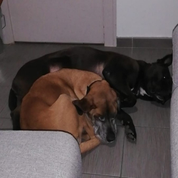 Maya et diego profile