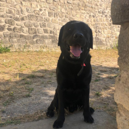 Rio profile