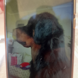 Uxy profile