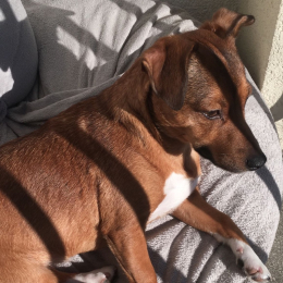 Mia profile