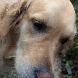 Nathalie profile