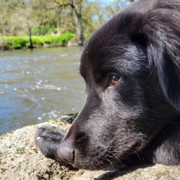 Mathilde profile