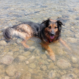 Nolko profile