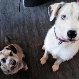 Kimko et max profile