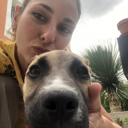 Doggo profile