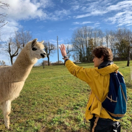 César profile