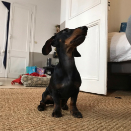 Georges profile