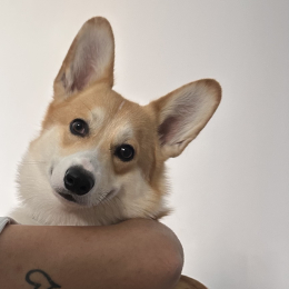 Oliver profile