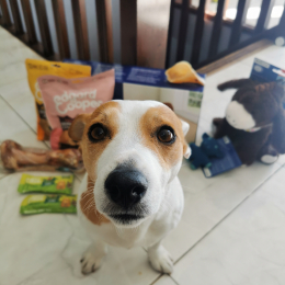 Floyd profile