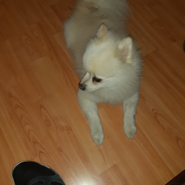 Doudou profile
