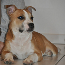 Rio profile