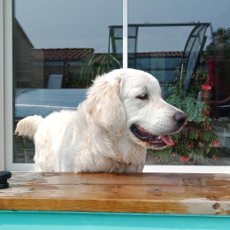 Walou profile