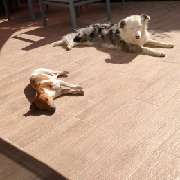 Manie et sunshine profile