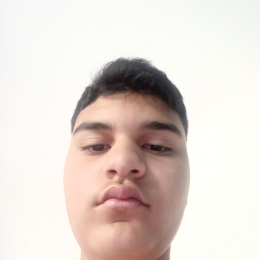 France profile