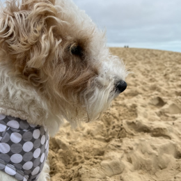 Frida profile