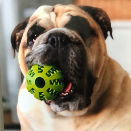 Oscar profile