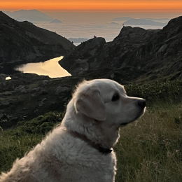 Monoï profile