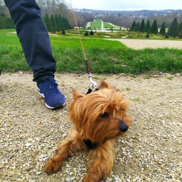 Vicky, ninou profile