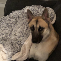 Narco profile