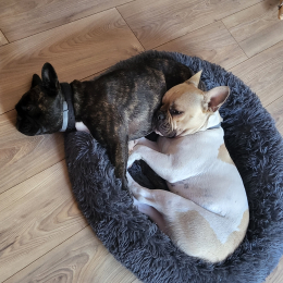 Zaza et robby profile