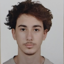 Mohamed hedi profile
