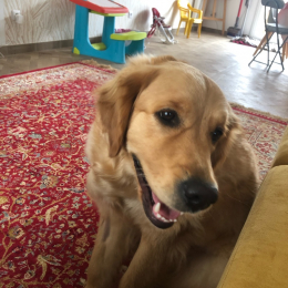 Nala profile