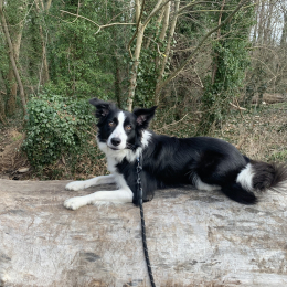 Eros profile