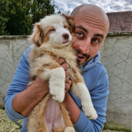 Maxence profile