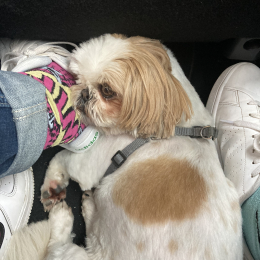 Helie et nala profile