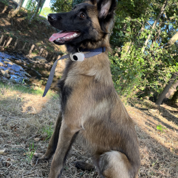 Athena profile