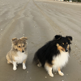 Max et ralph profile