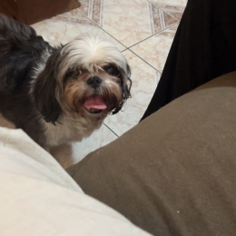 Toka profile