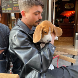 Marvin profile