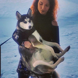 Luna et yumi profile