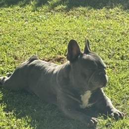 Naya et boubou profile